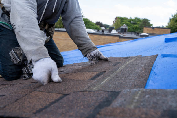 Best Roof Maintenance Services  in Milton, WA